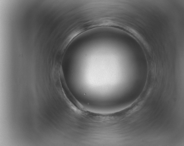 X0000062901289200601131351
