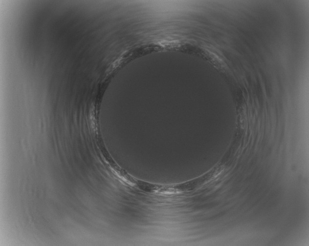 X0000062901298200601131350