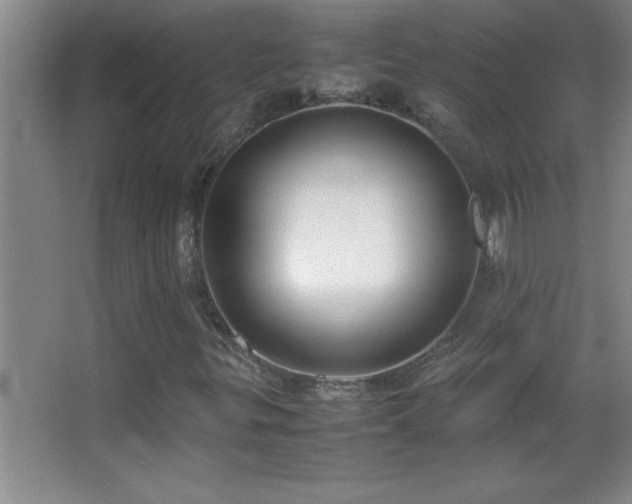X0000062901299200601131350