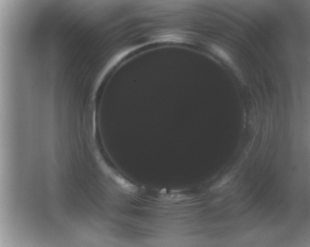 X0000062901323200601131350