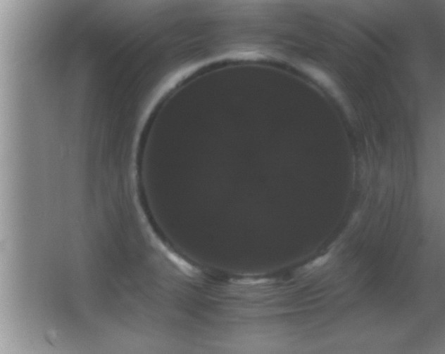 X0000062901327200601131350