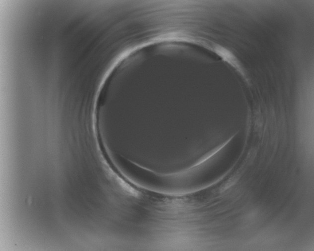 X0000062901334200601131350