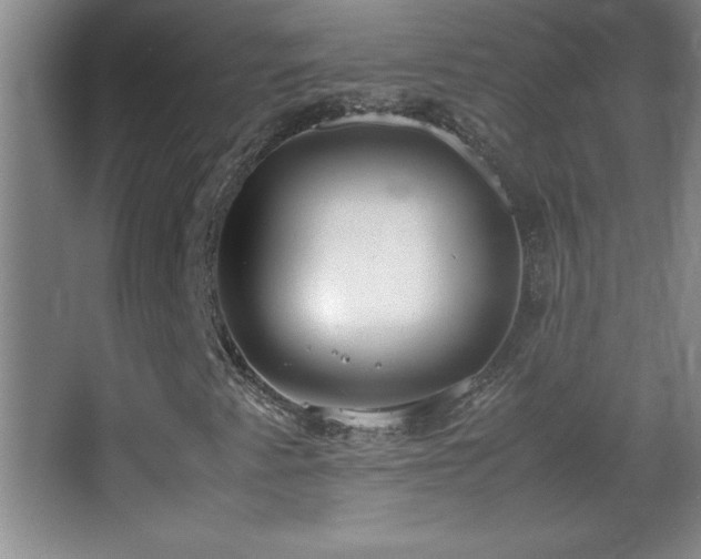 X0000062901345200601131350