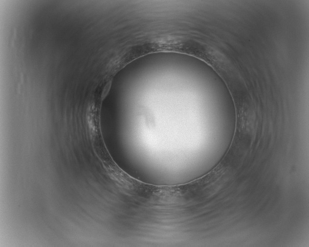 X0000062901346200601131350