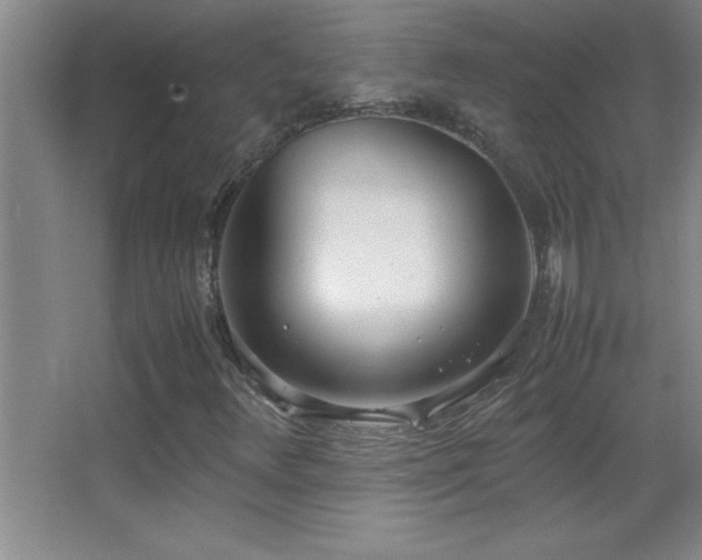 X0000062901348200601131350