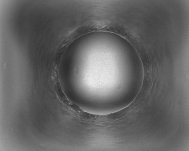 X0000062901349200601131350