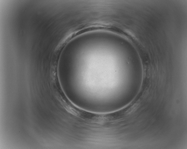 X0000062901355200601131349