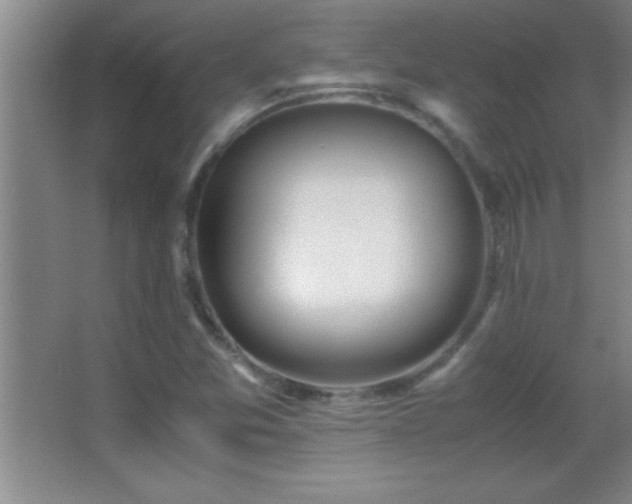 X0000062901357200601131349