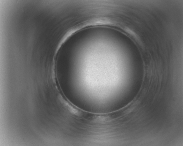 X0000062901374200601131349