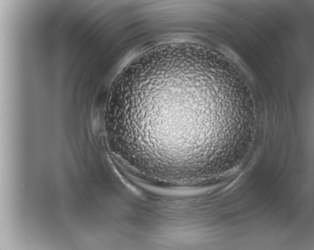 X0000062901385200601131349