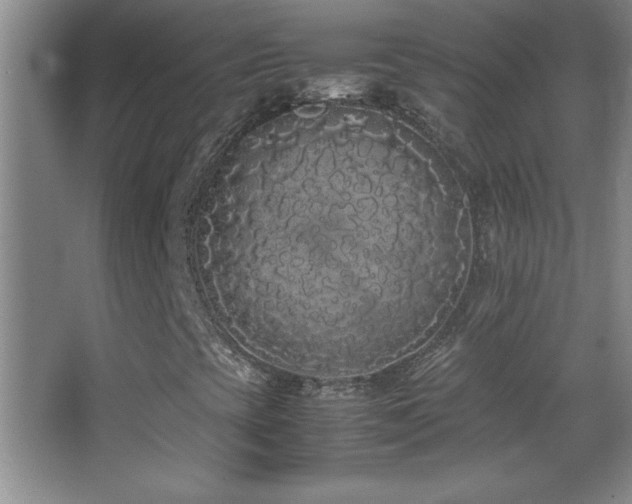 X0000062901393200601131348