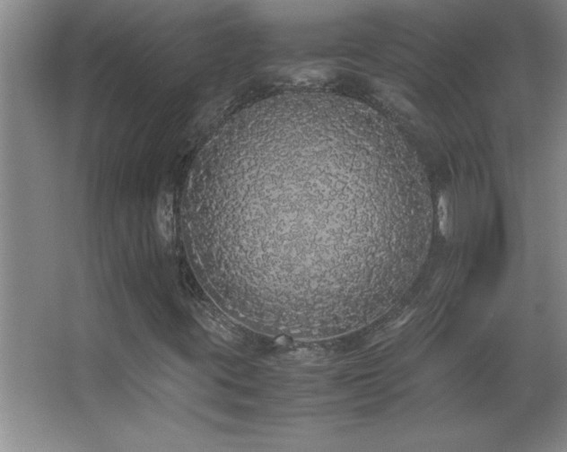 X0000062901395200601131348