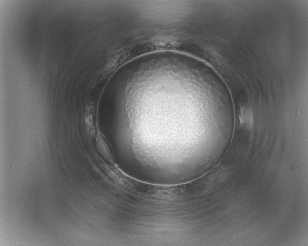 X0000062901396200601131348