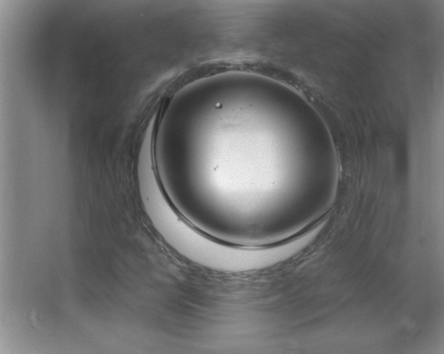 X0000062901398200601131348