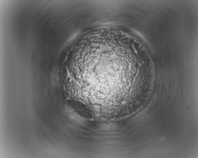 X0000062901403200601131348