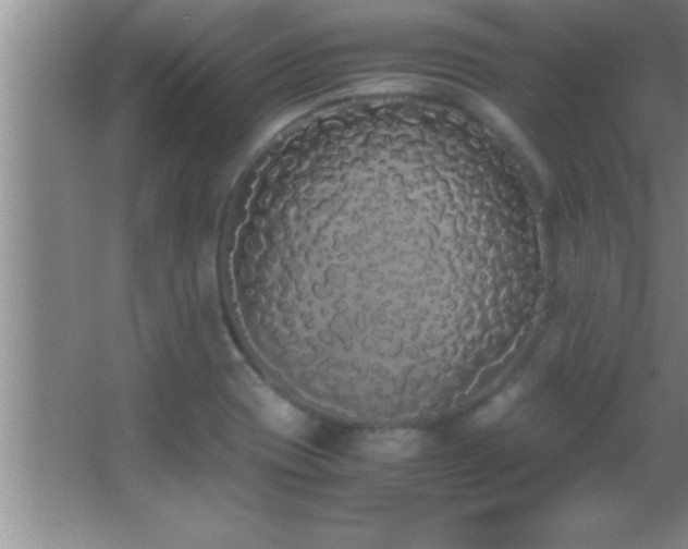 X0000062901417200601131348