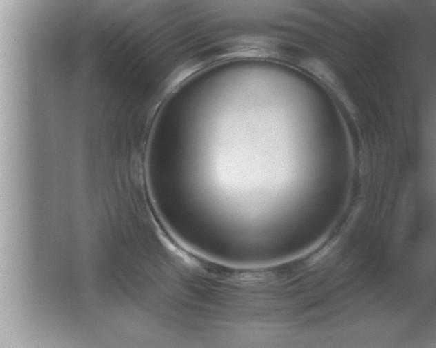 X0000062901433200601131349