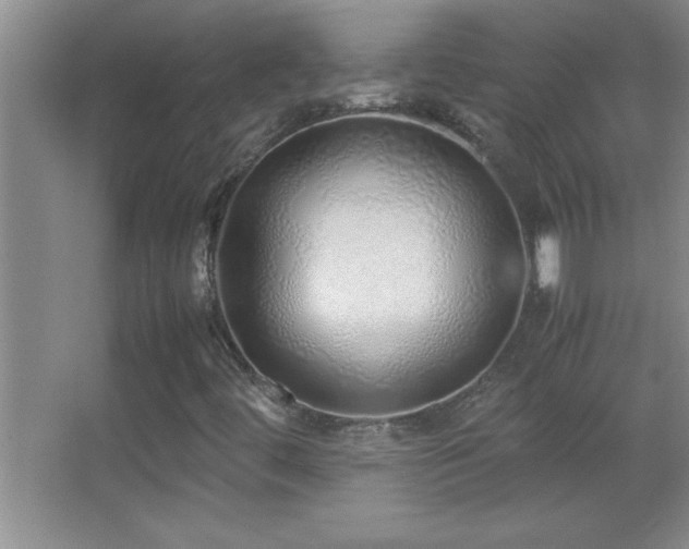 X0000062901444200601131348