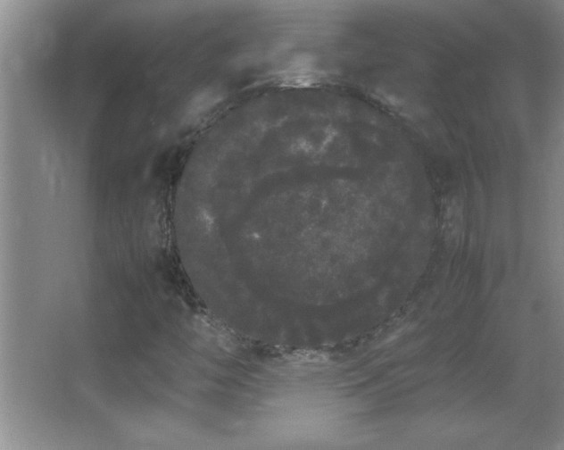 X0000062901446200601131348