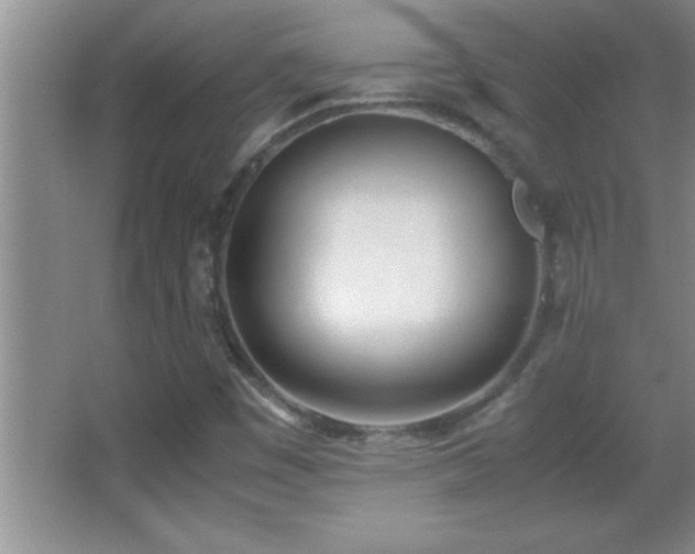 X0000062901449200601131348