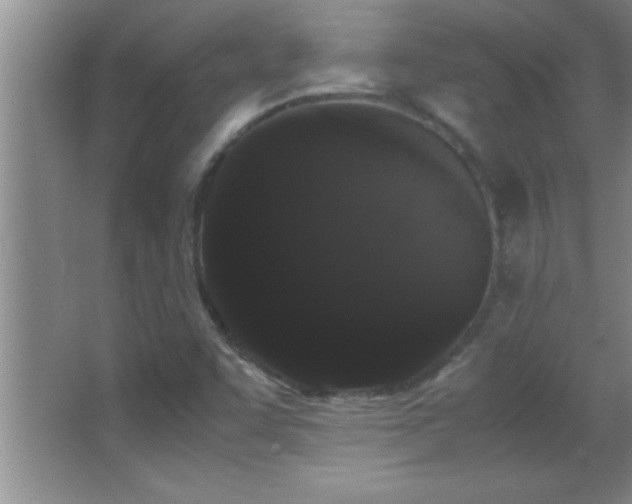 X0000062901455200601131348