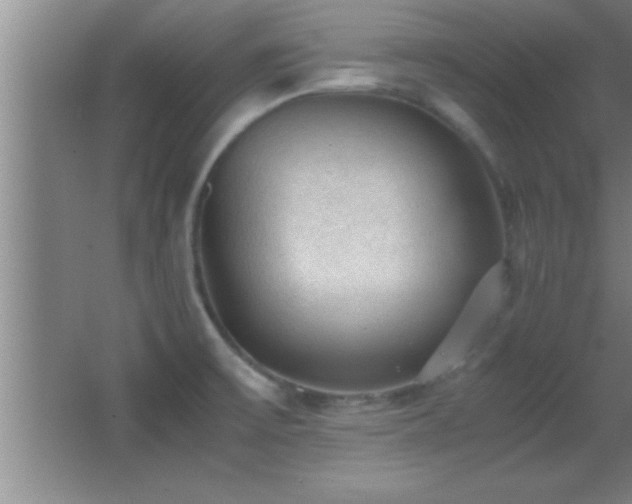 X0000062901475200601131347