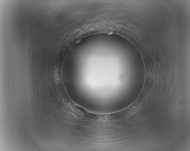 X0000062901490200601131346