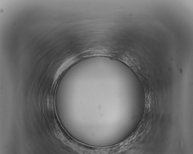 X0000062900004200601171552