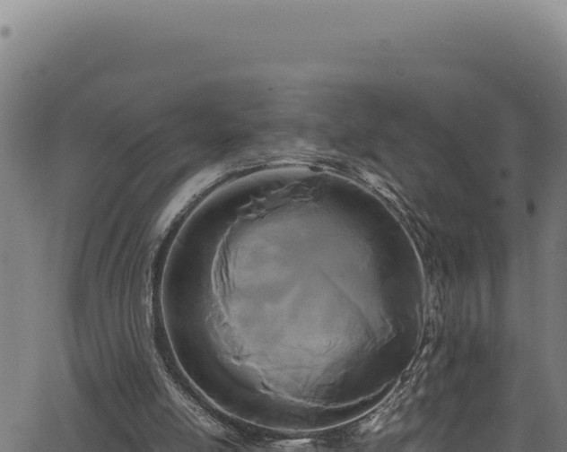X0000062900054200601171550