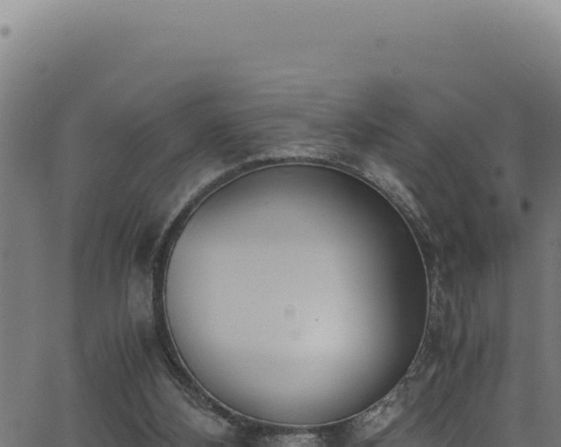 X0000062900108200601171550
