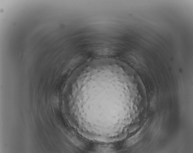 X0000062900179200601171549