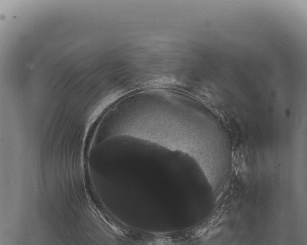 X0000062900196200601171548