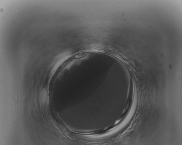 X0000062900200200601171548