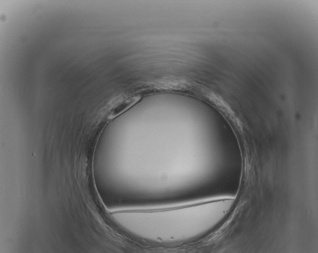 X0000062900201200601171548
