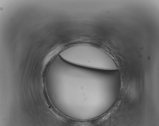 X0000062900245200601171547