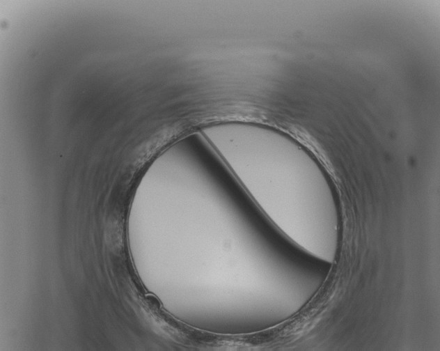 X0000062900393200601171545