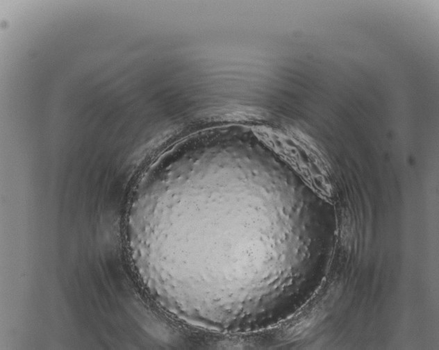 X0000062900394200601171545