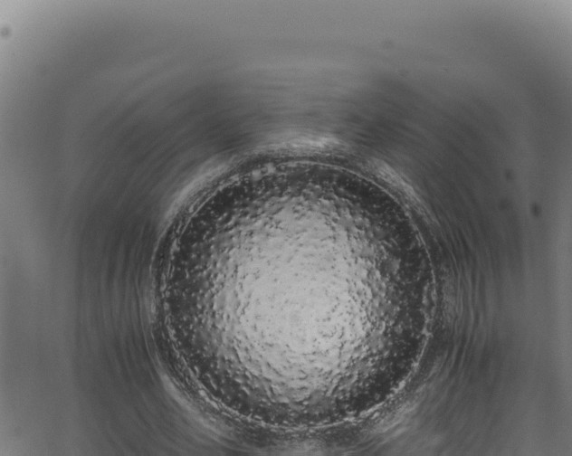 X0000062900582200601171542