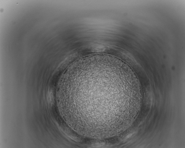 X0000062900598200601171541