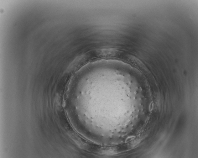 X0000062900667200601171541