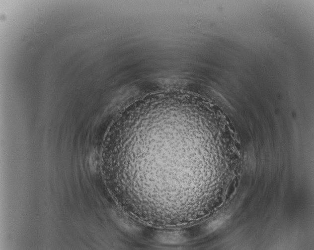 X0000062900671200601171541