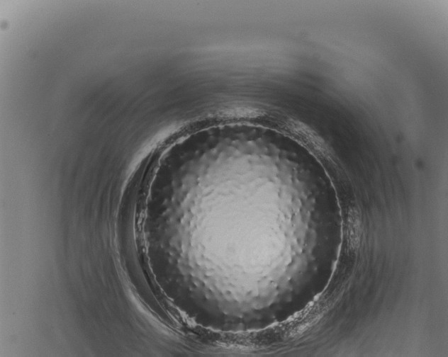 X0000062900726200601171539