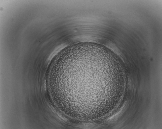 X0000062900782200601171538