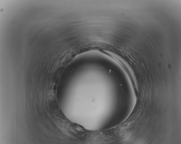 X0000062900916200601171535