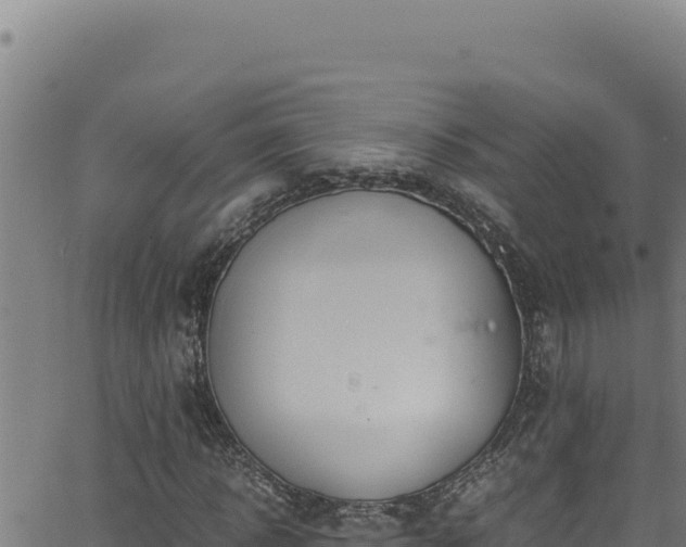 X0000062900918200601171535