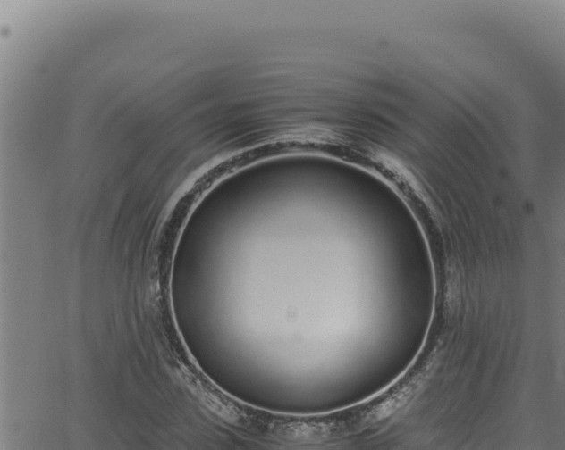 X0000062900923200601171535