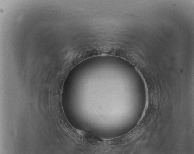 X0000062900961200601171535