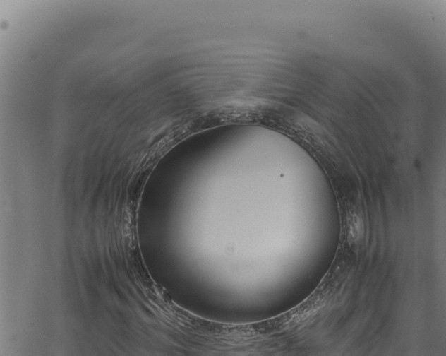 X0000062900964200601171535