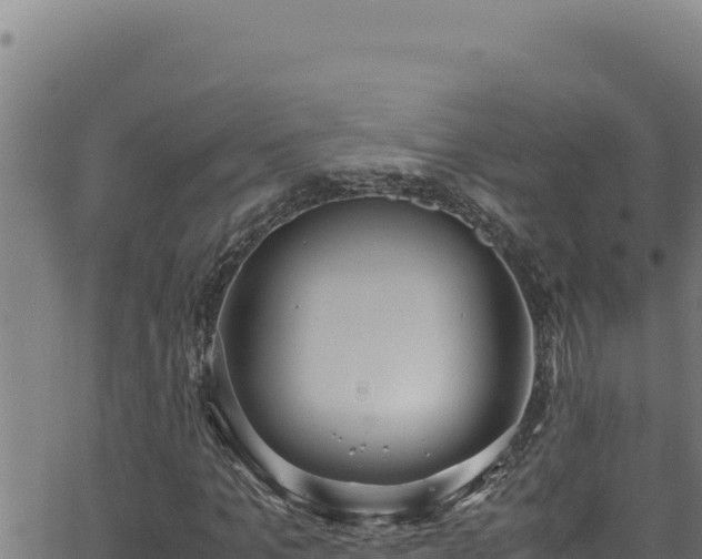 X0000062900965200601171535