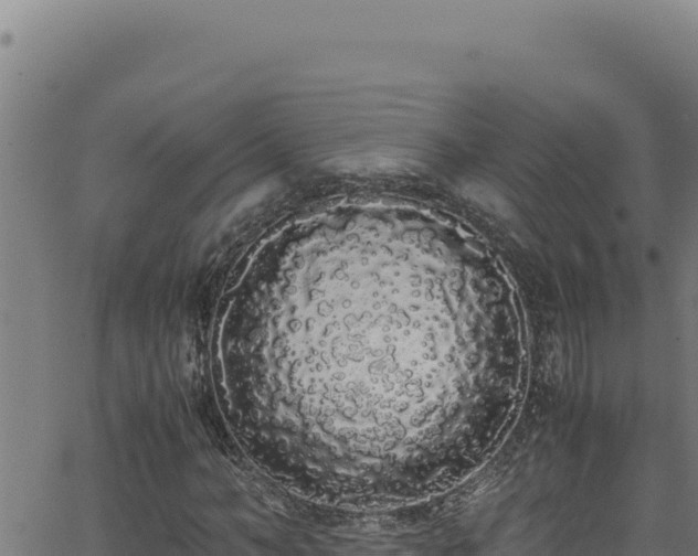 X0000062900966200601171535